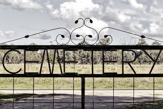 An Interesting GatePhotography by Wendy Stanford